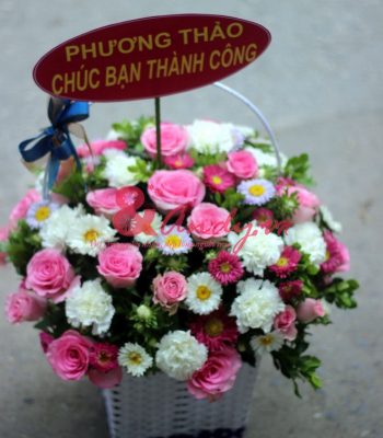 Hoa hồng trắng, đỏ